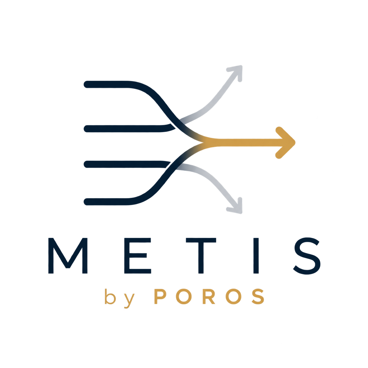 Metis by Poros